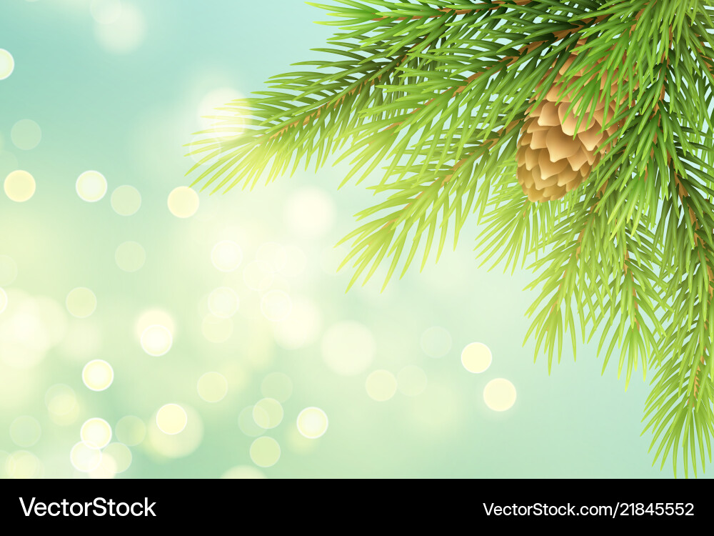 Realistic fir-tree branch with pinecone Realistic fir-tree branch with pinecone vector image