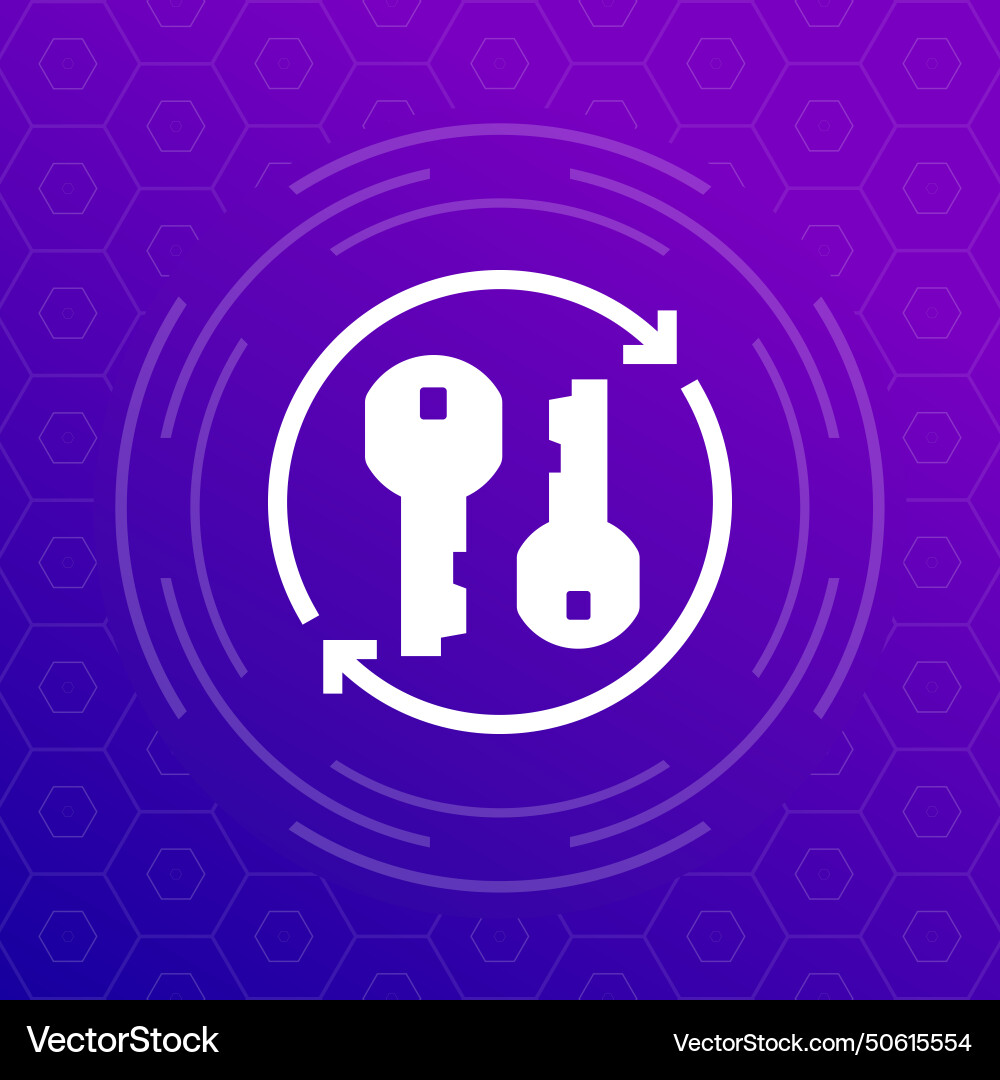 Change keys icon for web and apps vector image