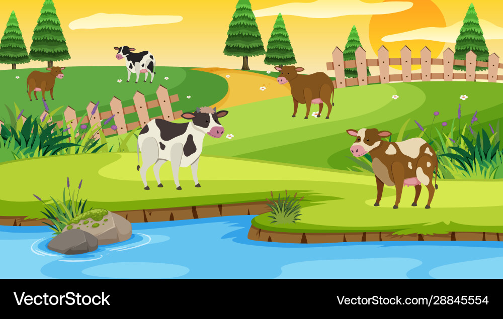 Scene with cows in field Scene with cows in field Vector Image