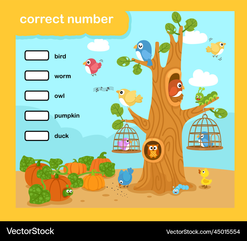 Write the correct numbers Vector Image