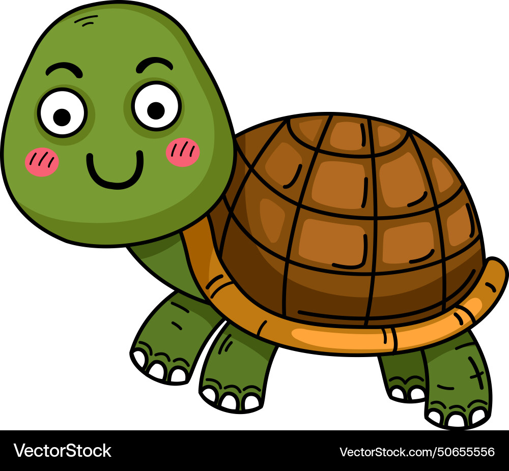 Hand drawn turtle character Royalty Free Vector Image