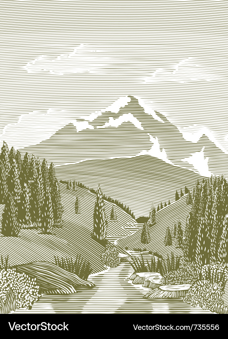 Mountain Stream Woodcut vector image