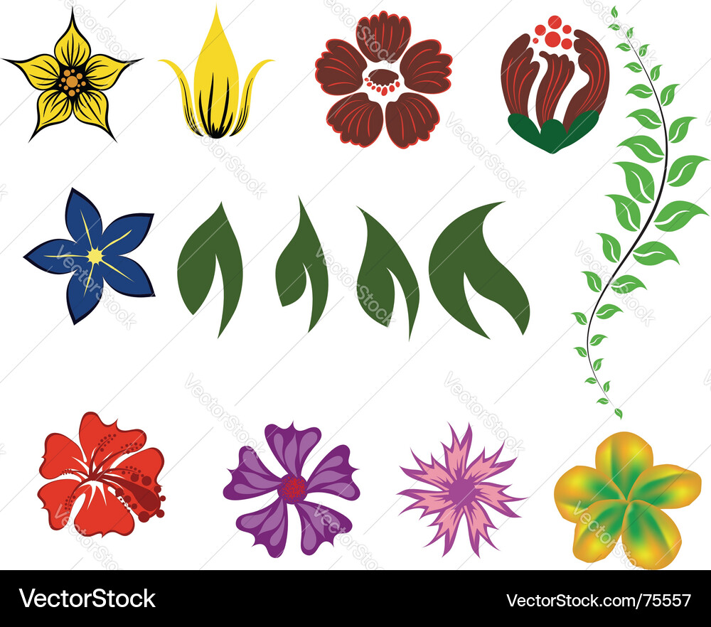 Blumen-Set Vektorbild