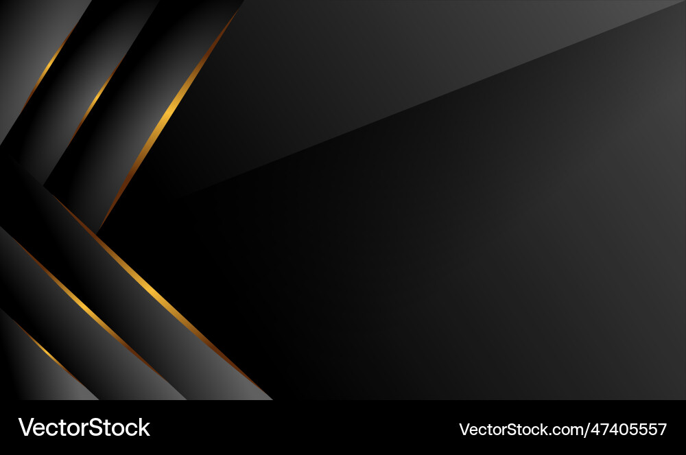 Luxury background abstract modern vector image