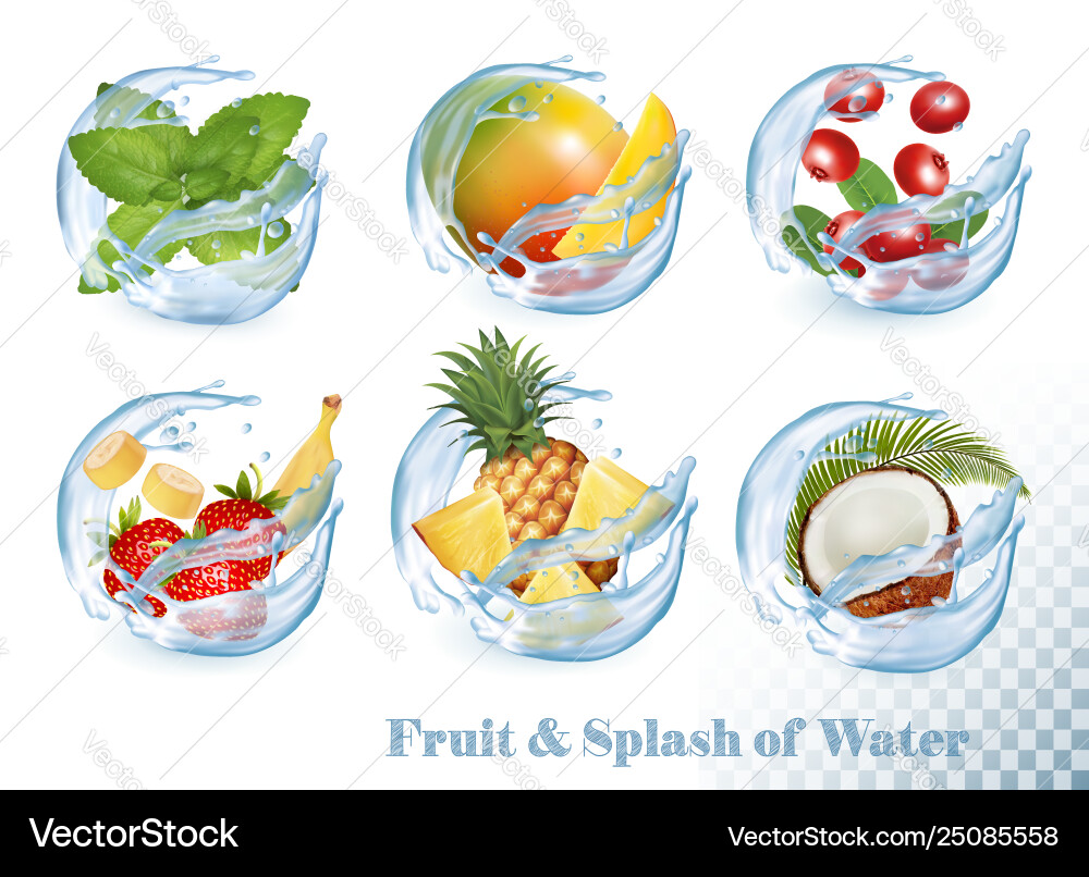 Big collection fruit in a water splash icons Big collection fruit in a water splash icons vector image