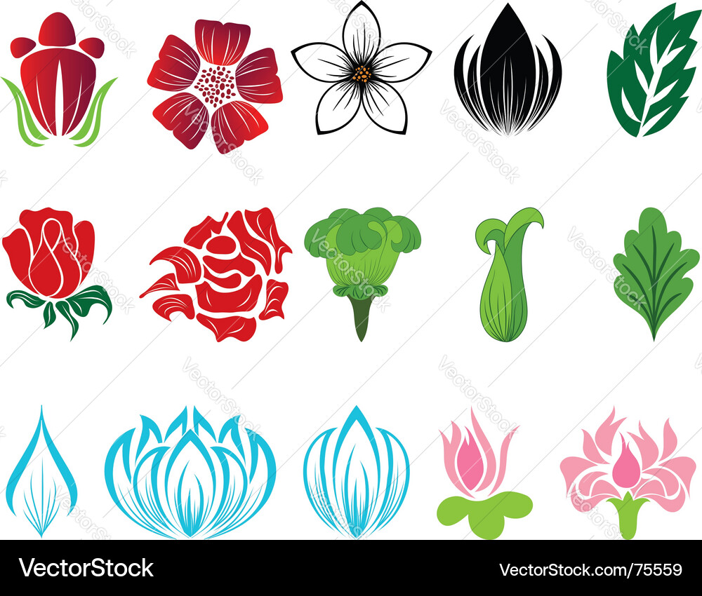 Flower set Royalty Free Vector Image - VectorStock