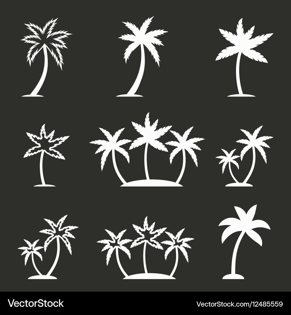 Palm tree icon set Royalty Free Vector Image - VectorStock