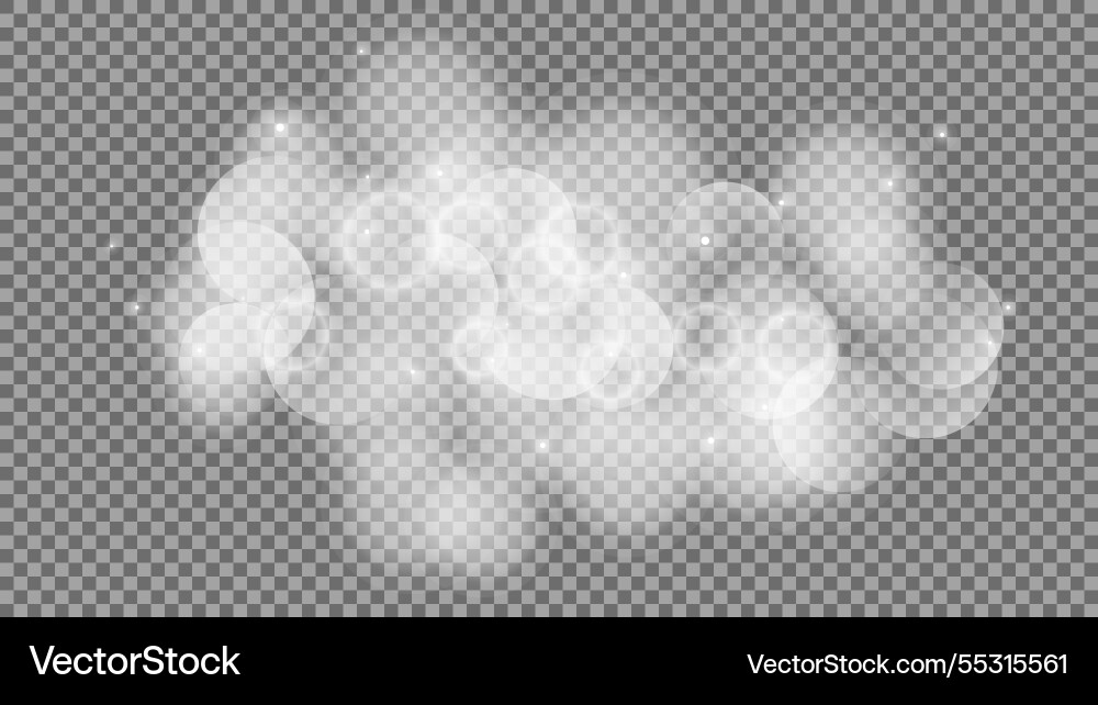 Bokeh circles on transparent background vector image