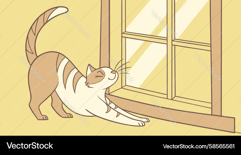 Calm Cat by Window Vector Image