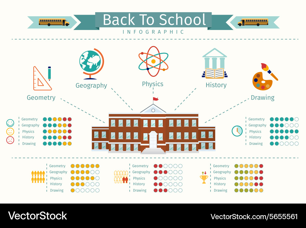 School Education Infographic Vector Image