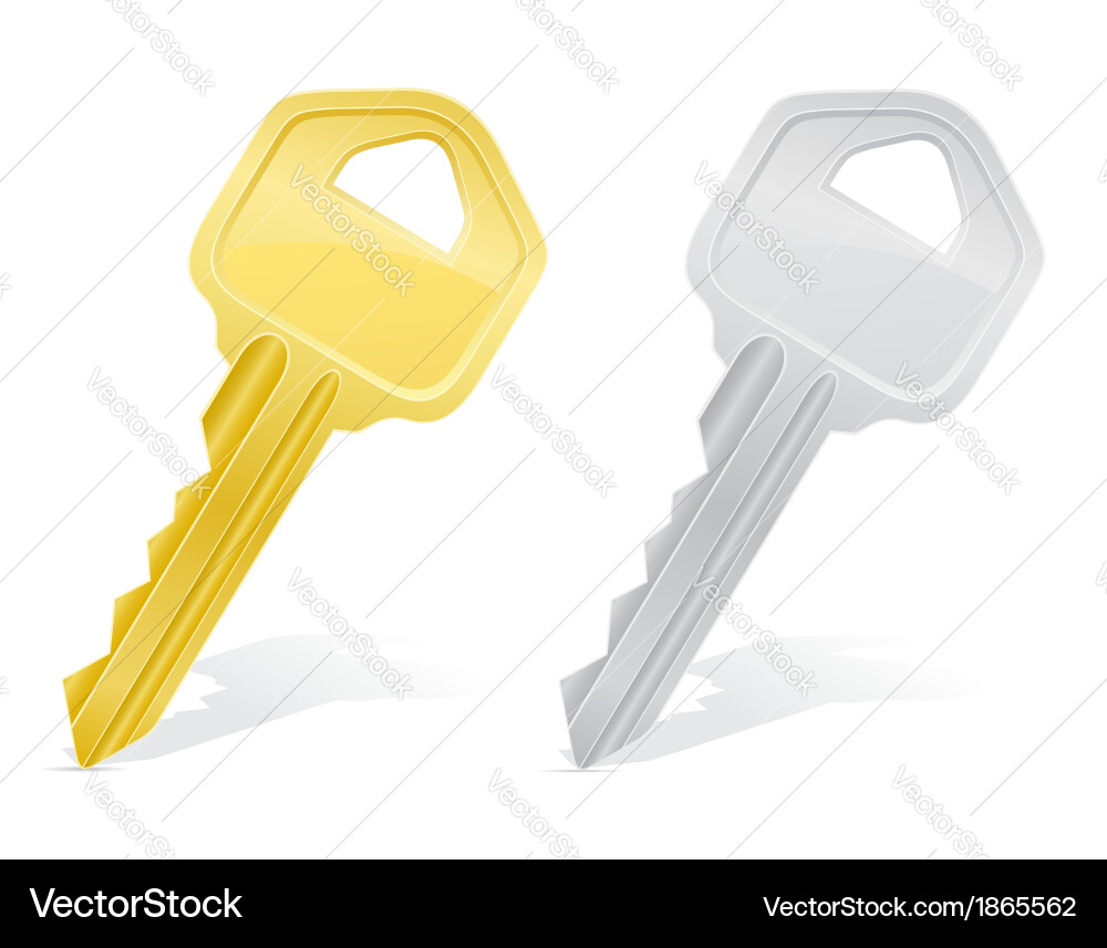 Multiple Keys on White Background vector image