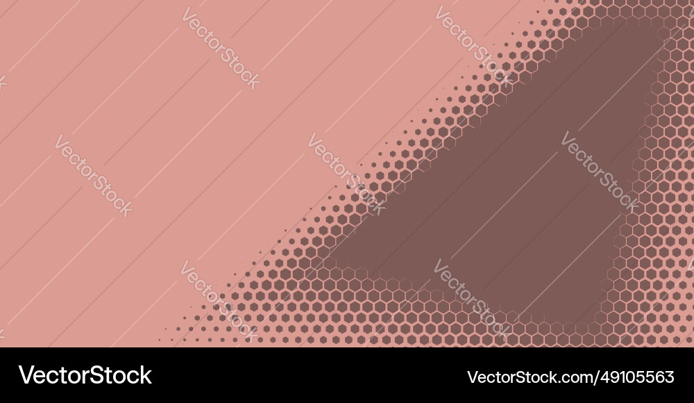 Geometric abstract hexagon two color background Vector Image