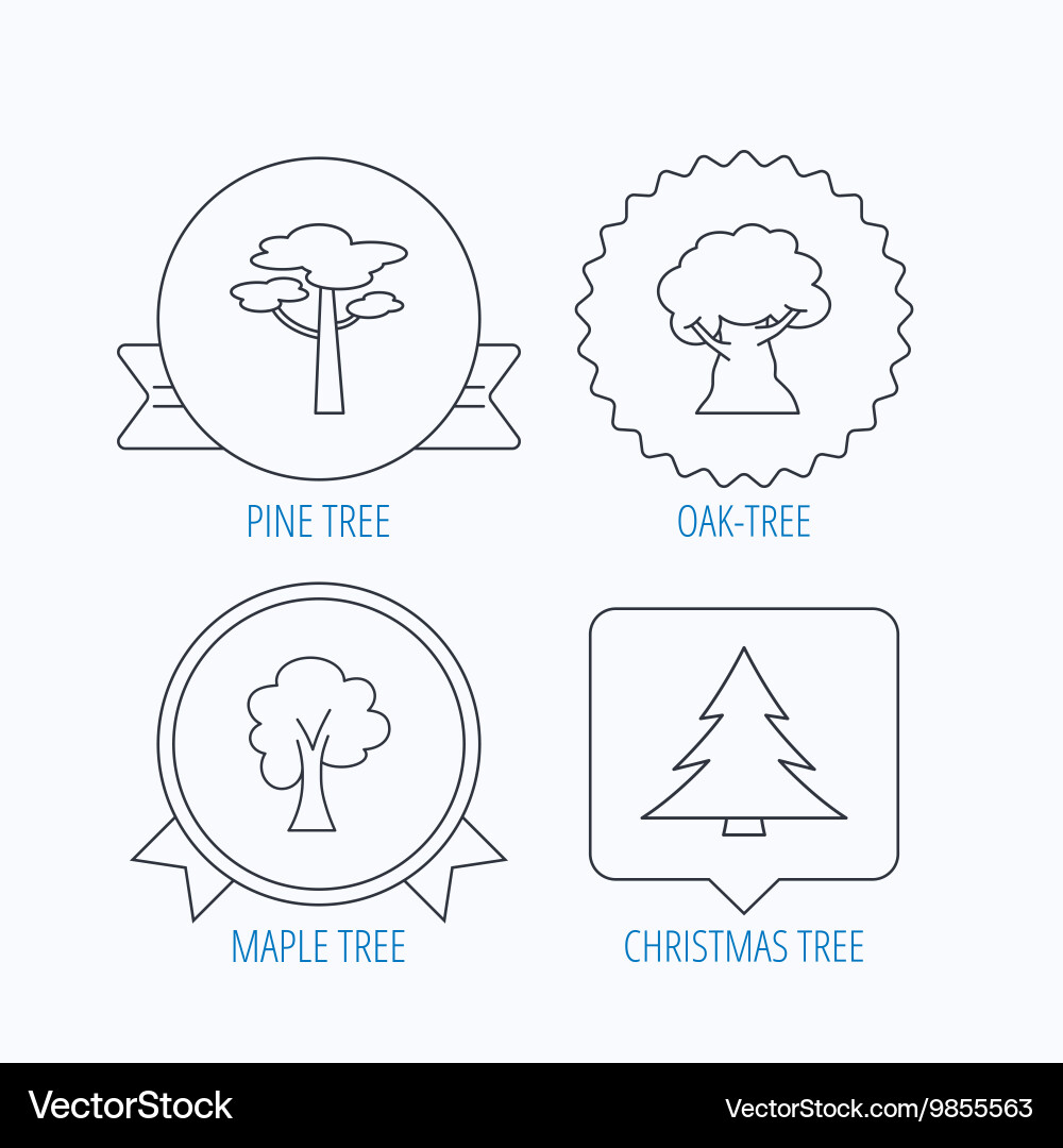 Pine tree maple and oak-tree icons Vector Image