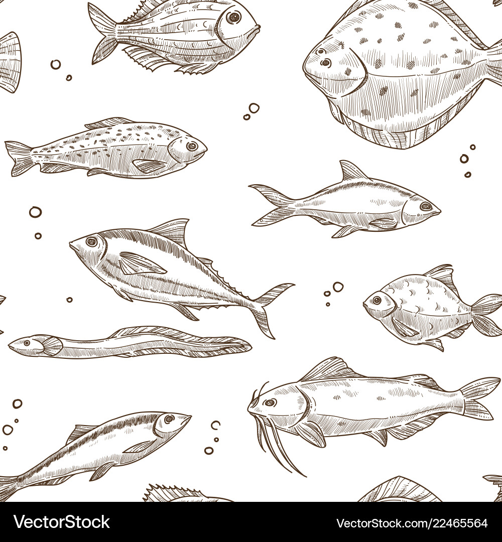 Fish sketch pattern background seamless Vector Image