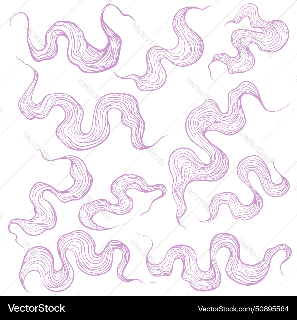 Set of abstract wavy lines element Vector Image