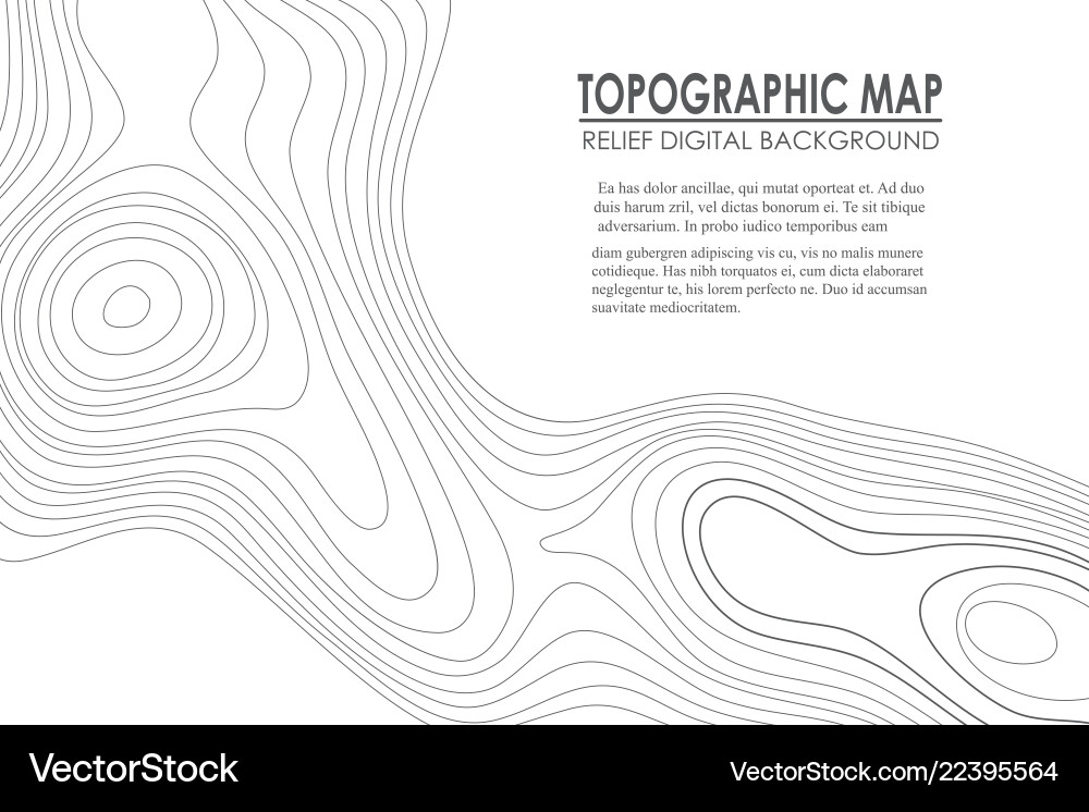 Topographic Contour Map Background Vector Image
