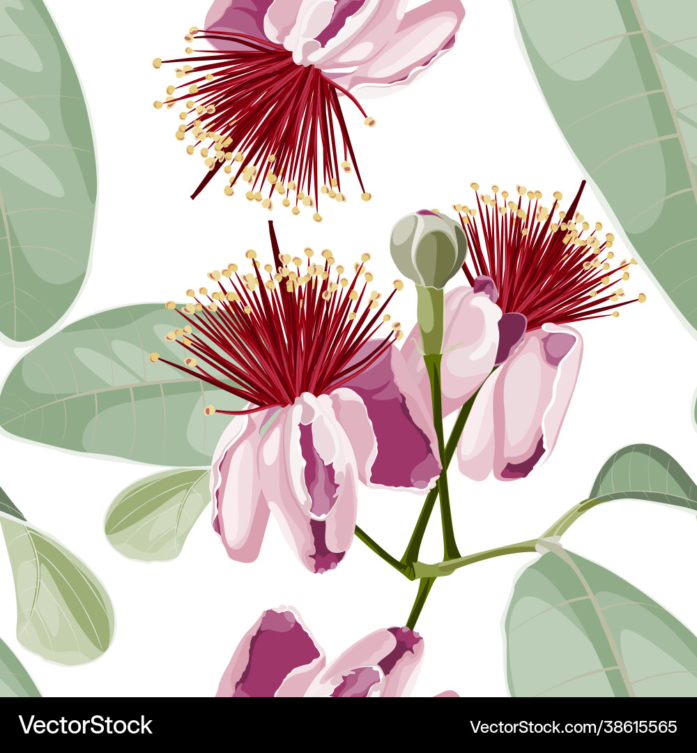 Seamless pattern background with feijoa blooming vector image