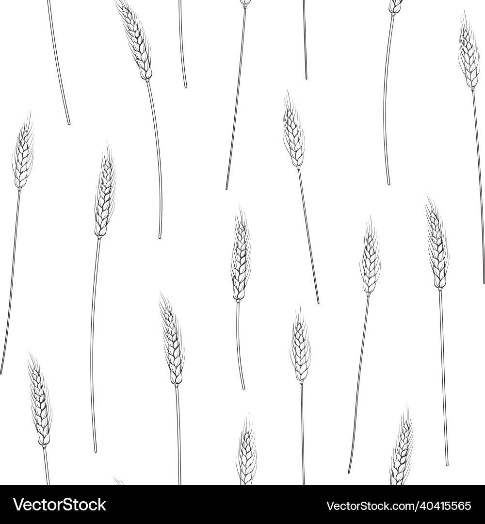 Wheat Pattern - Rustic & Detailed vector image