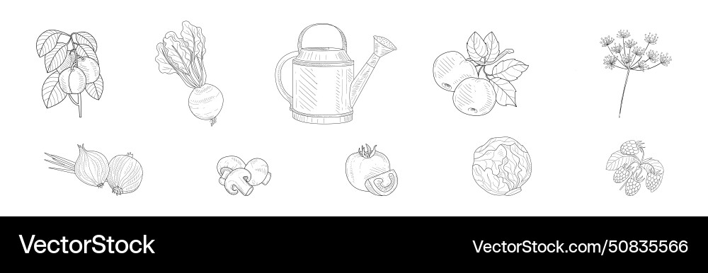 Garden crop harvest and yield linear set vector image