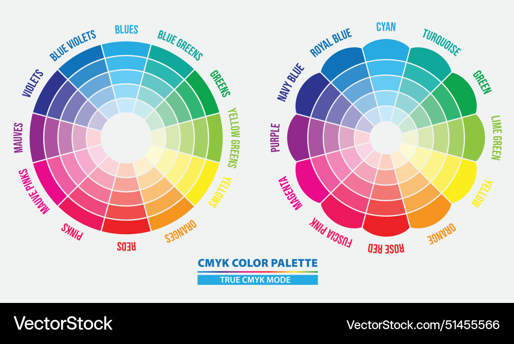 Set of name color in cmyk palette diagram isolate Vector Image