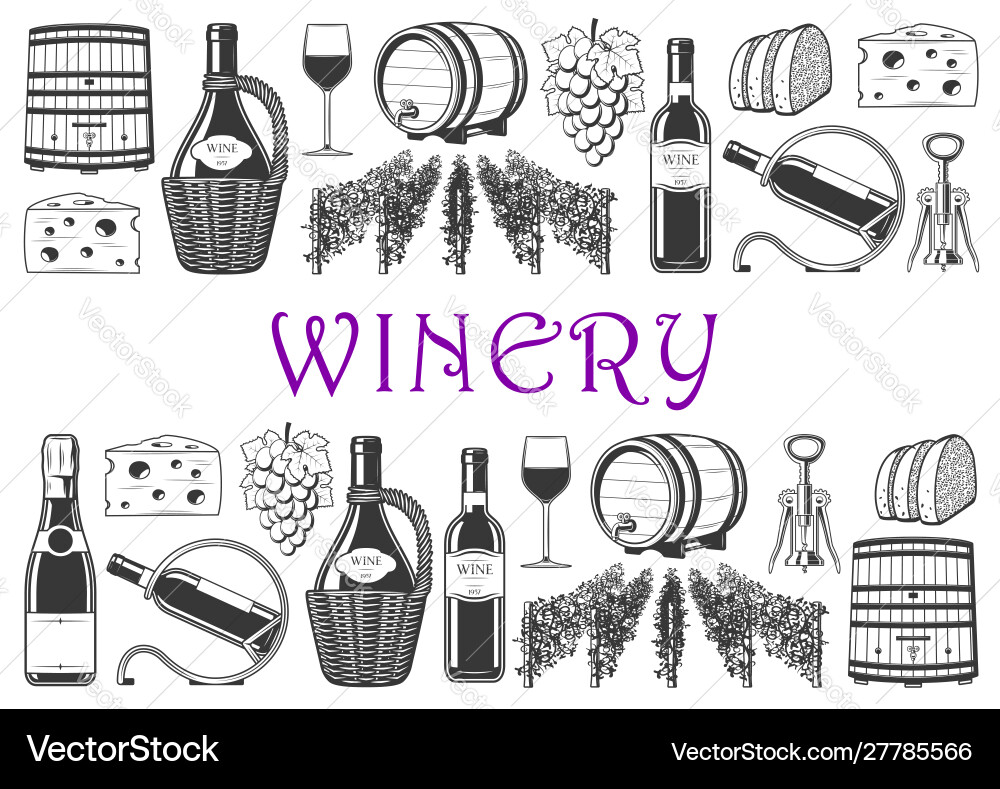 Wine production and winery items vineyard grape vector image