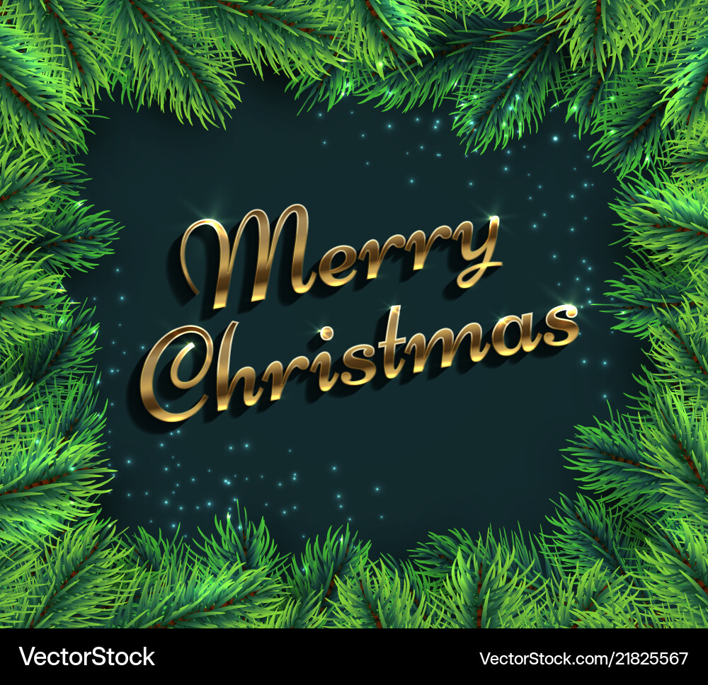 Fir tree branches merry christmas glamour Fir tree branches merry christmas glamour vector image