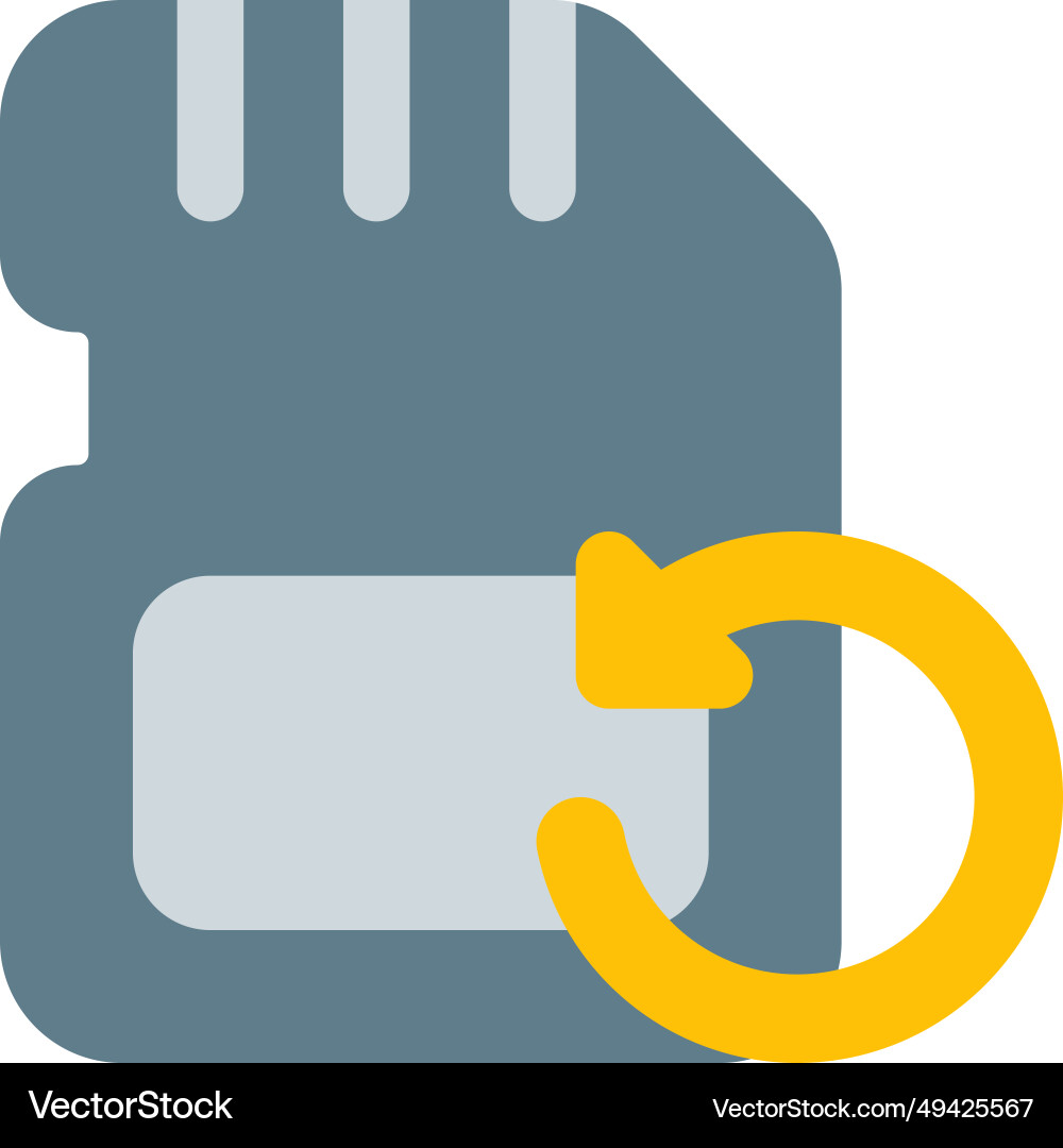 Reload data on the sd card storage Vector Image