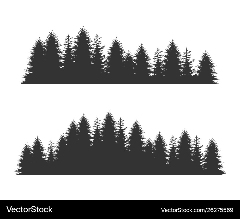 Forest fir trees silhouettes coniferous spruce Forest fir trees silhouettes coniferous spruce vector image