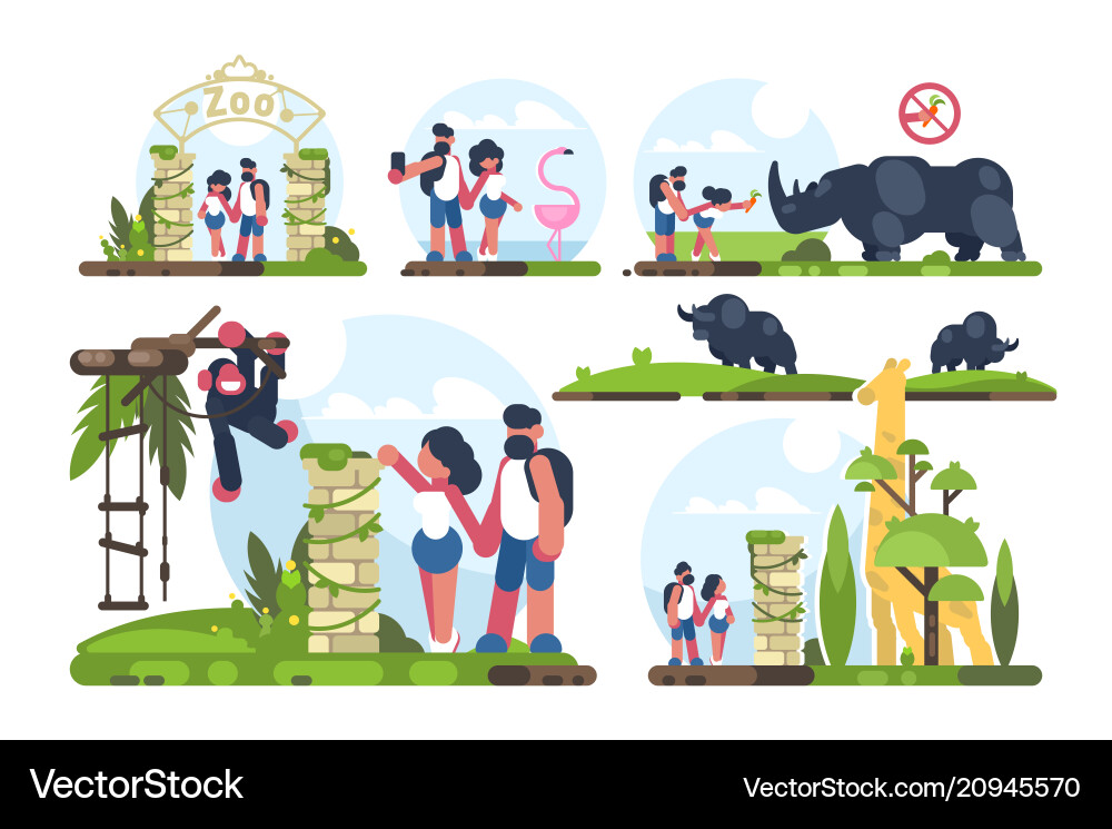 Couple of guy and girl walking in zoo vector image