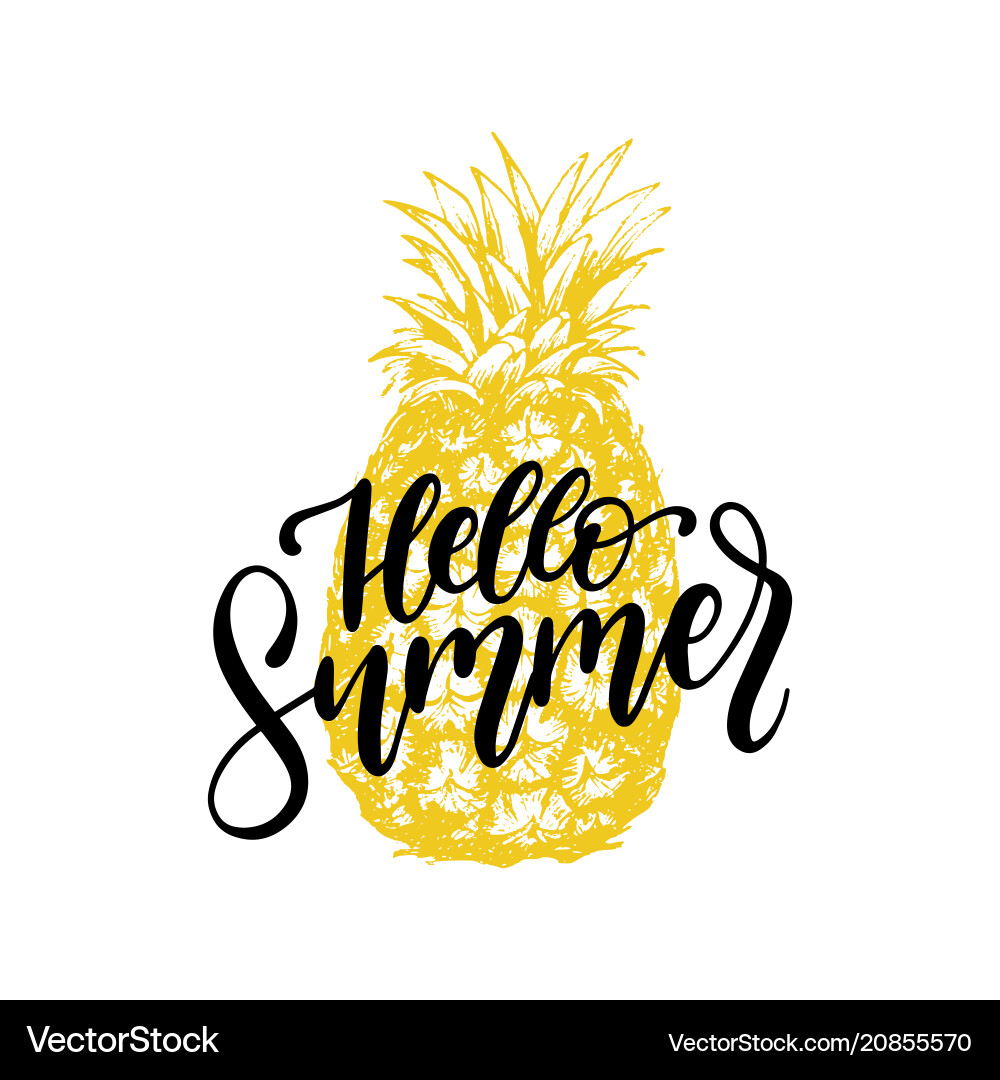 Hand lettering hello summer inspirational Vector Image