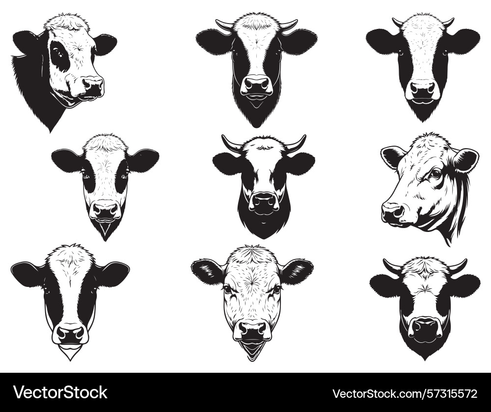 Hereford cow head silhouette – Royalty-Free Vector | VectorStock, image size:1000x840