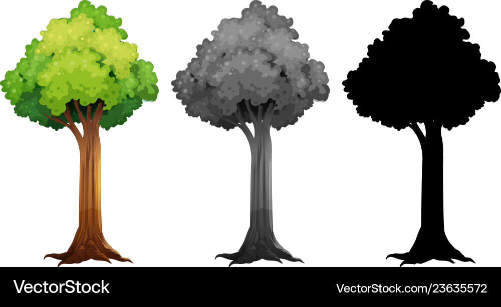 Set of different tree design vector image