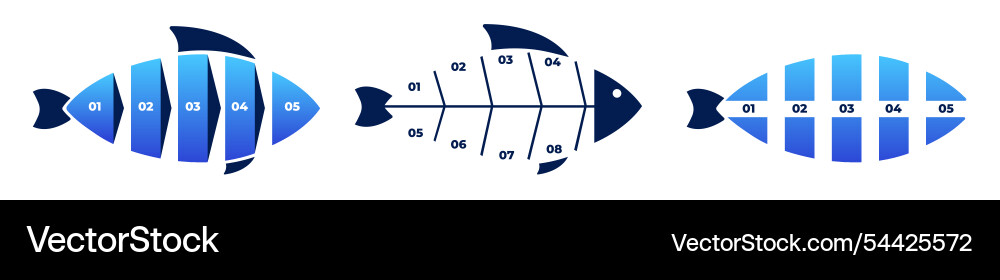 Structured fishbone chart for project development vector image