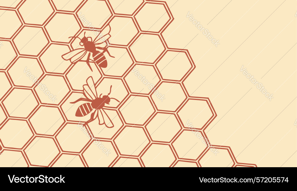 Honeycomb hexagonal abstract pattern background vector image