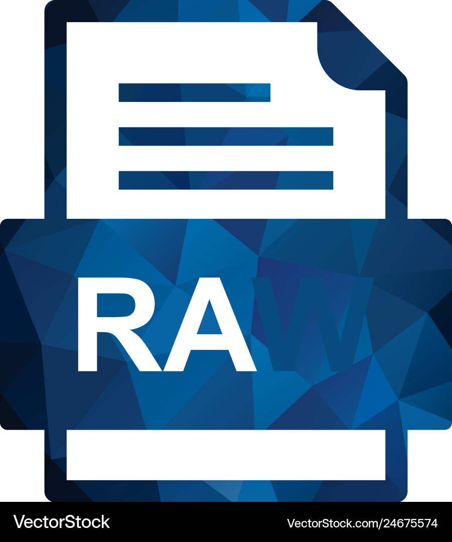 Raw file document icon Vector Image
