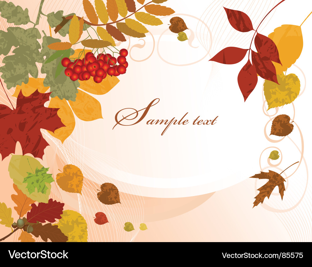 Floral Autumn Leaves Background Vector Image