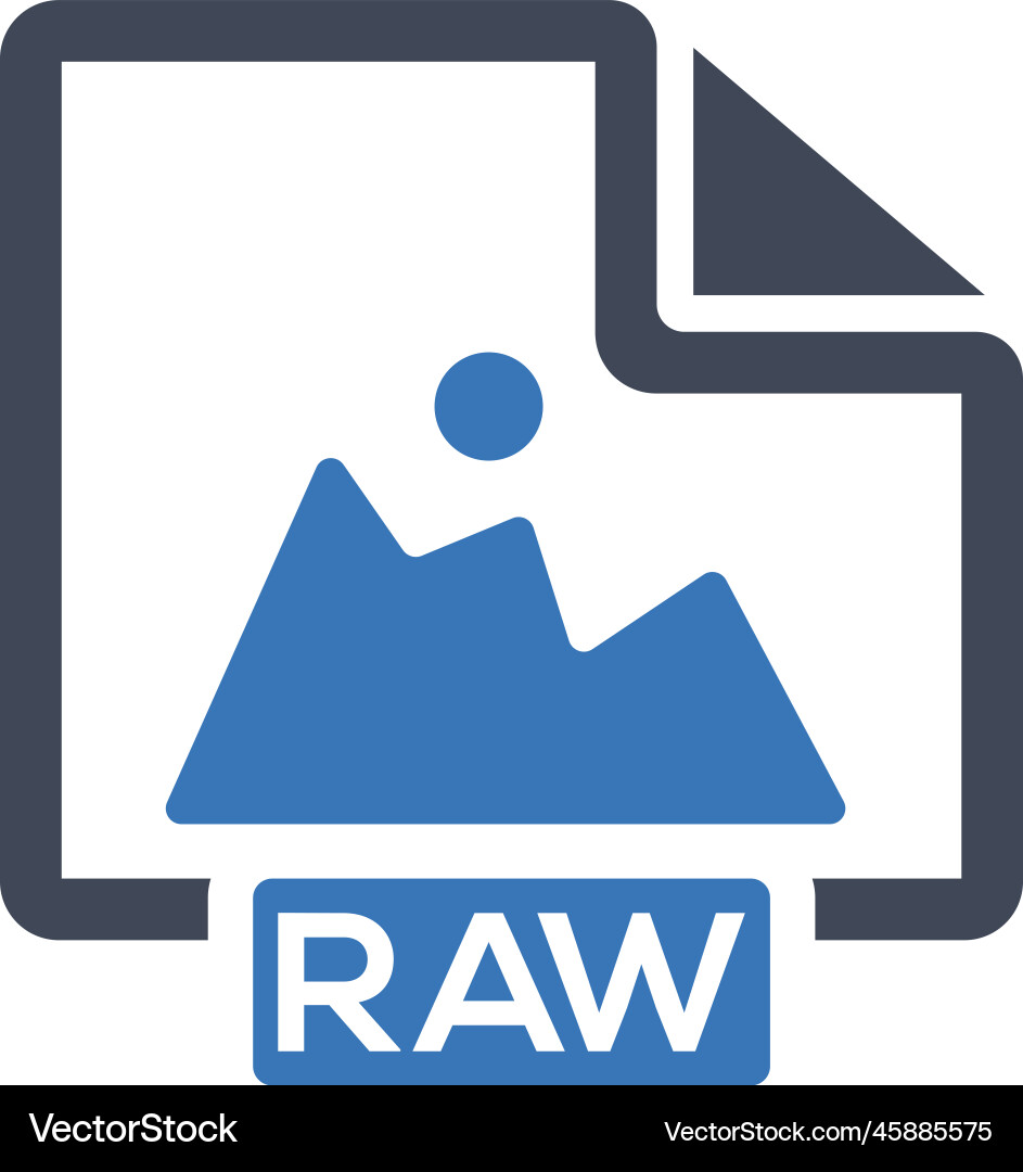 Raw image icon graphics Vector Image