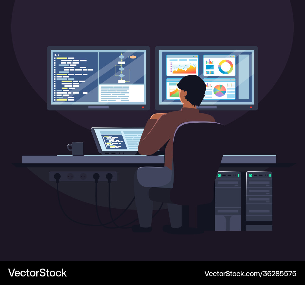 Software Developer Working at Computer vector image