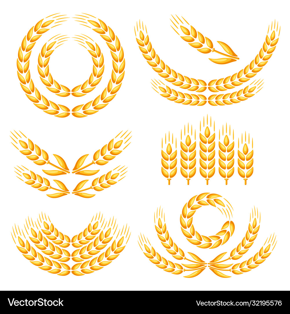 Design elements with wheat Vector Image