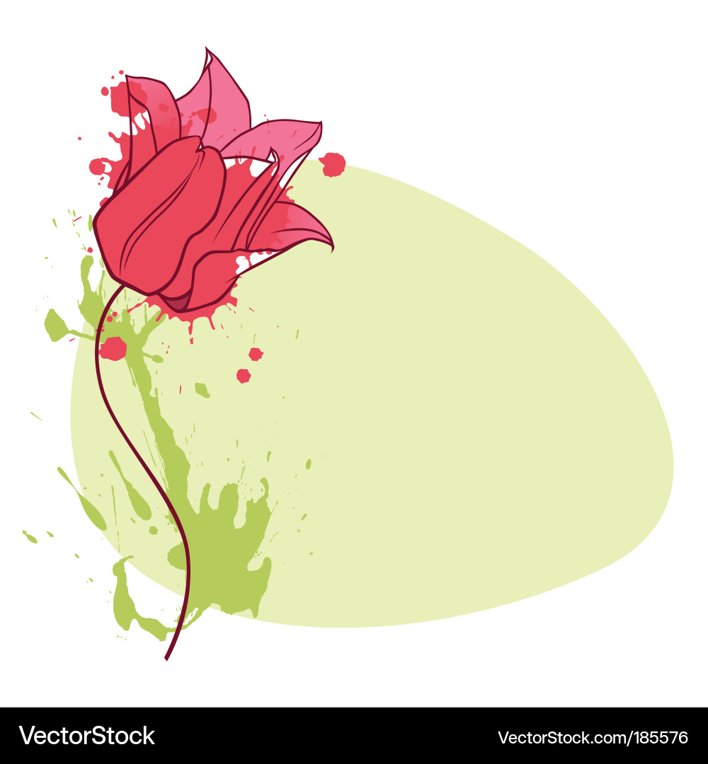 Tulip vignette Vector Image
