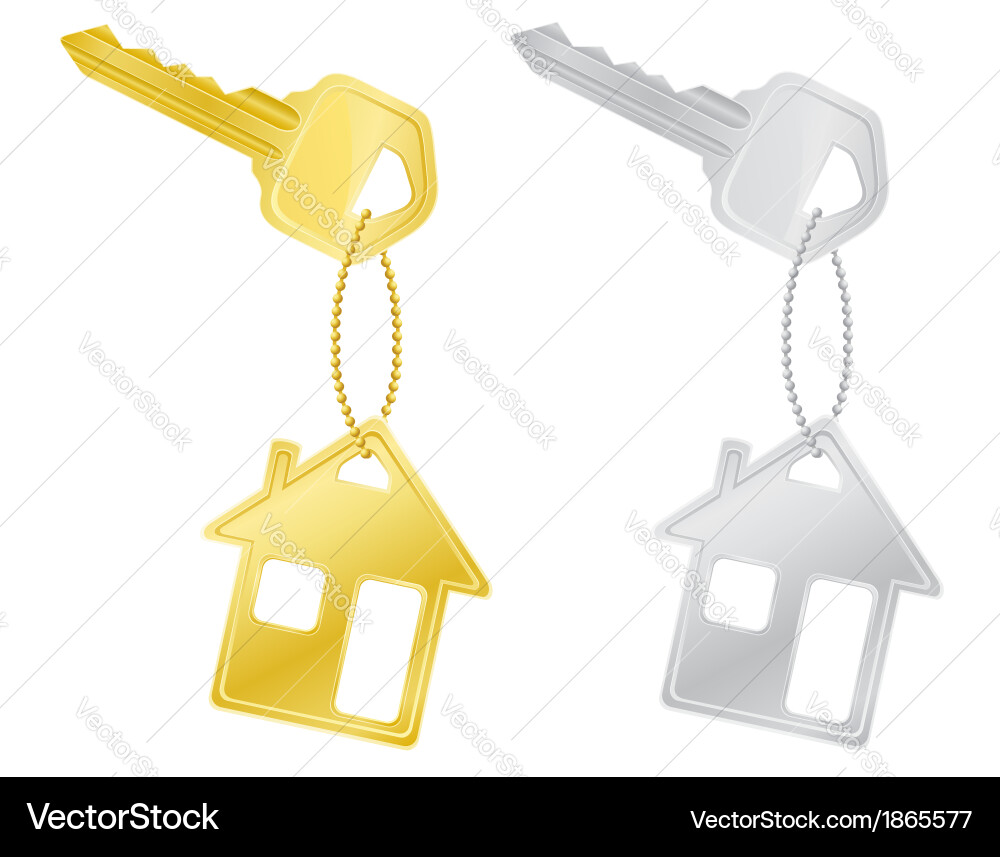 Multiple Keys on White Background Vector Image