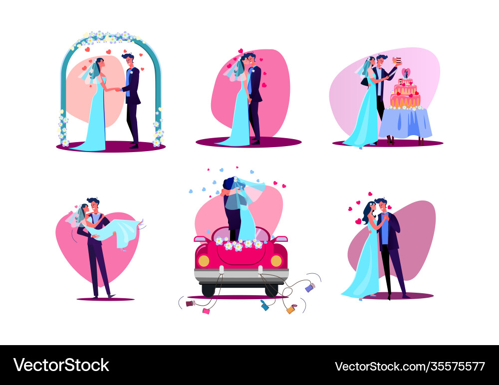 Set just married couple Royalty Free Vector Image
