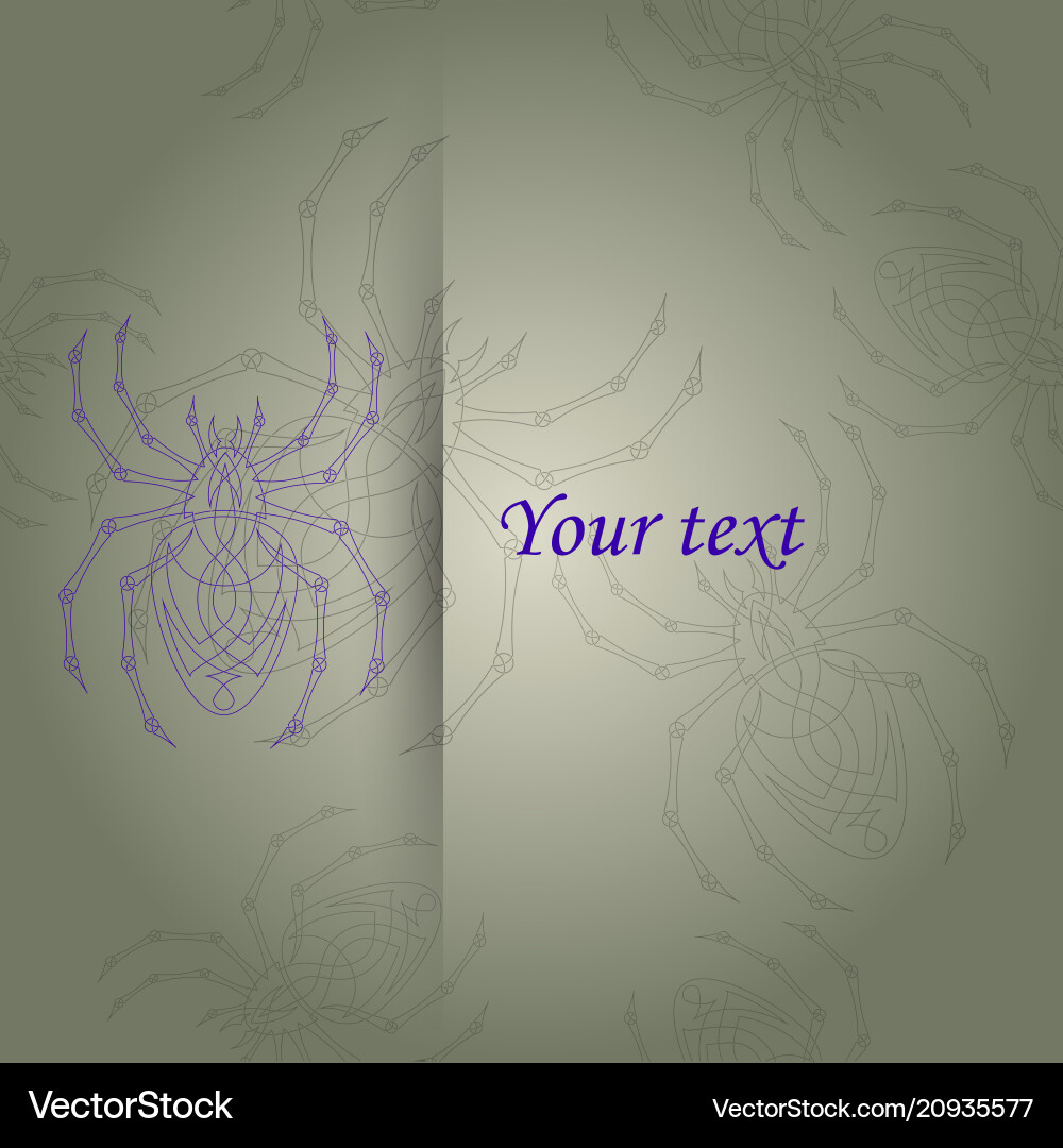 Spiders Web Pattern Vector Image