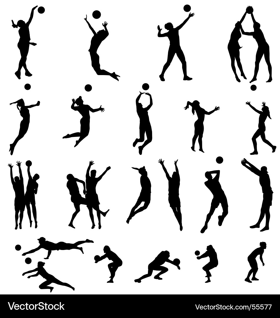 Volleyball Silhouettes vector image