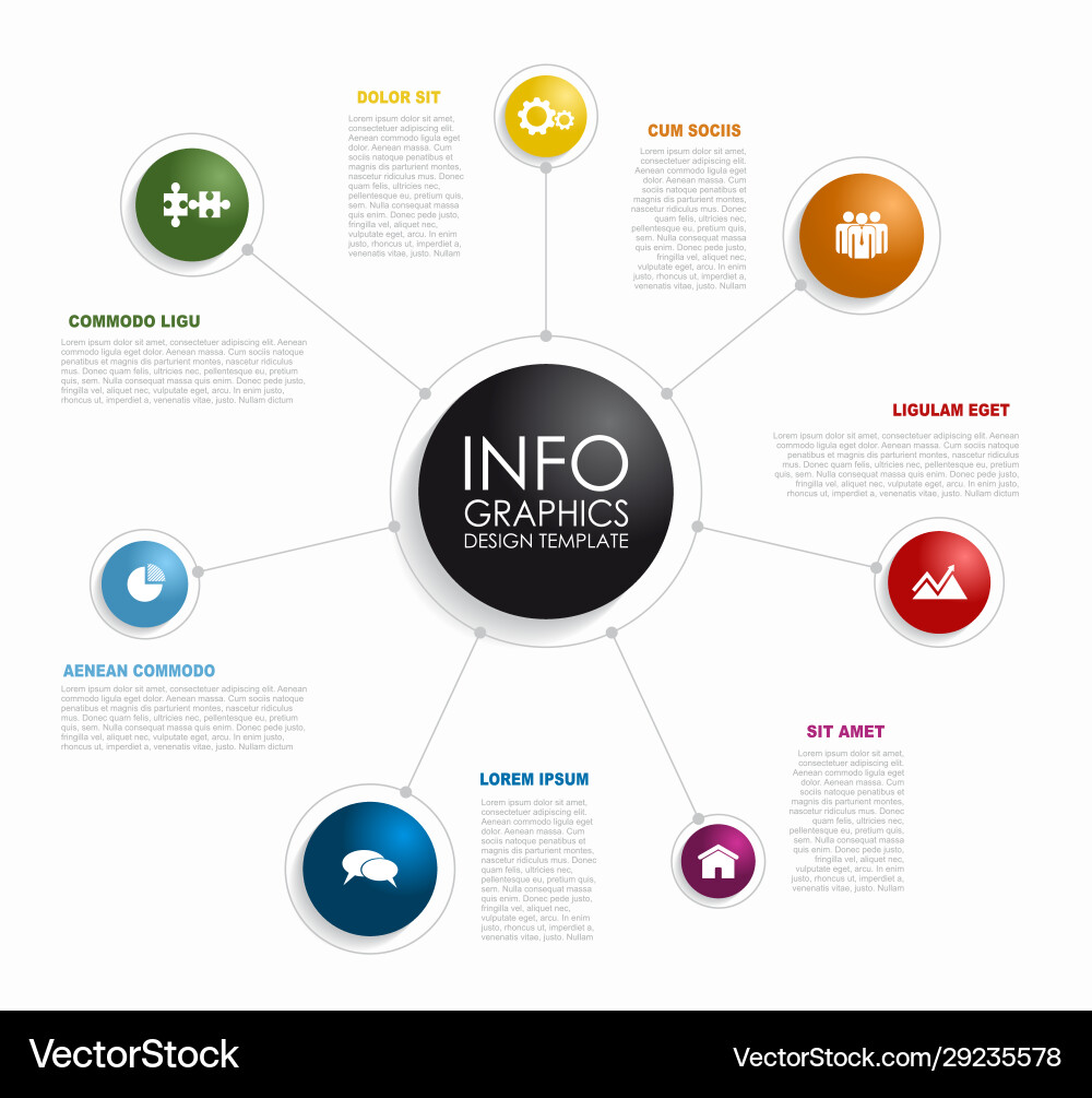 Infographic Template - Data Visualization vector image