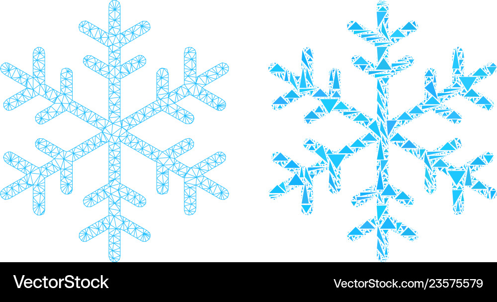 Polygonal network mesh snowflake and mosaic icon Vector Image