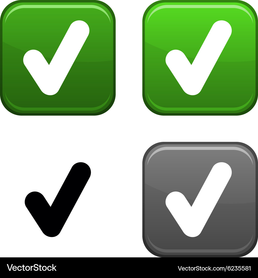 Check button Vector Image