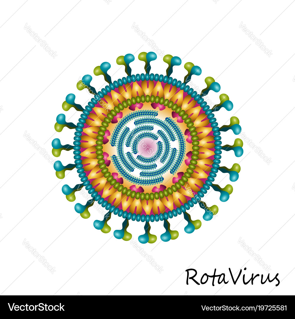 Rota Virus Particle Structure Vector Image