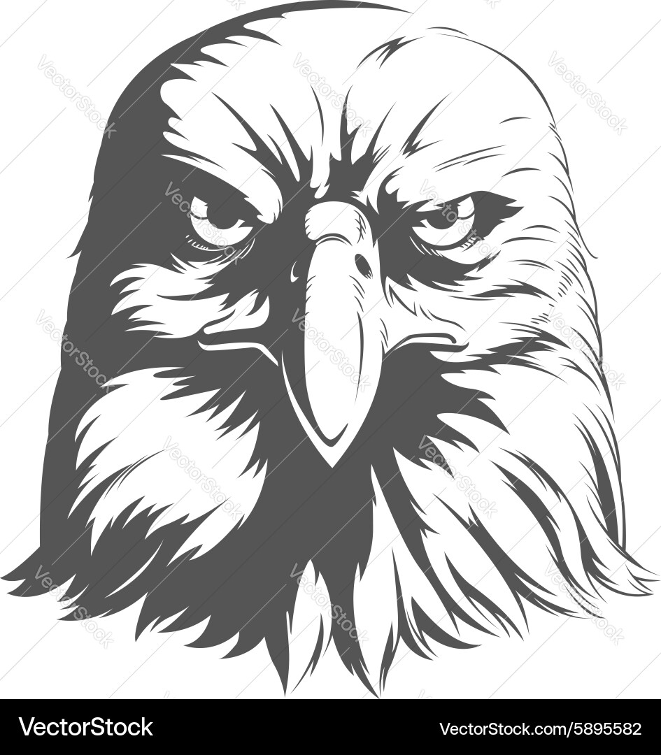 Eagle Head Silhouette vector image