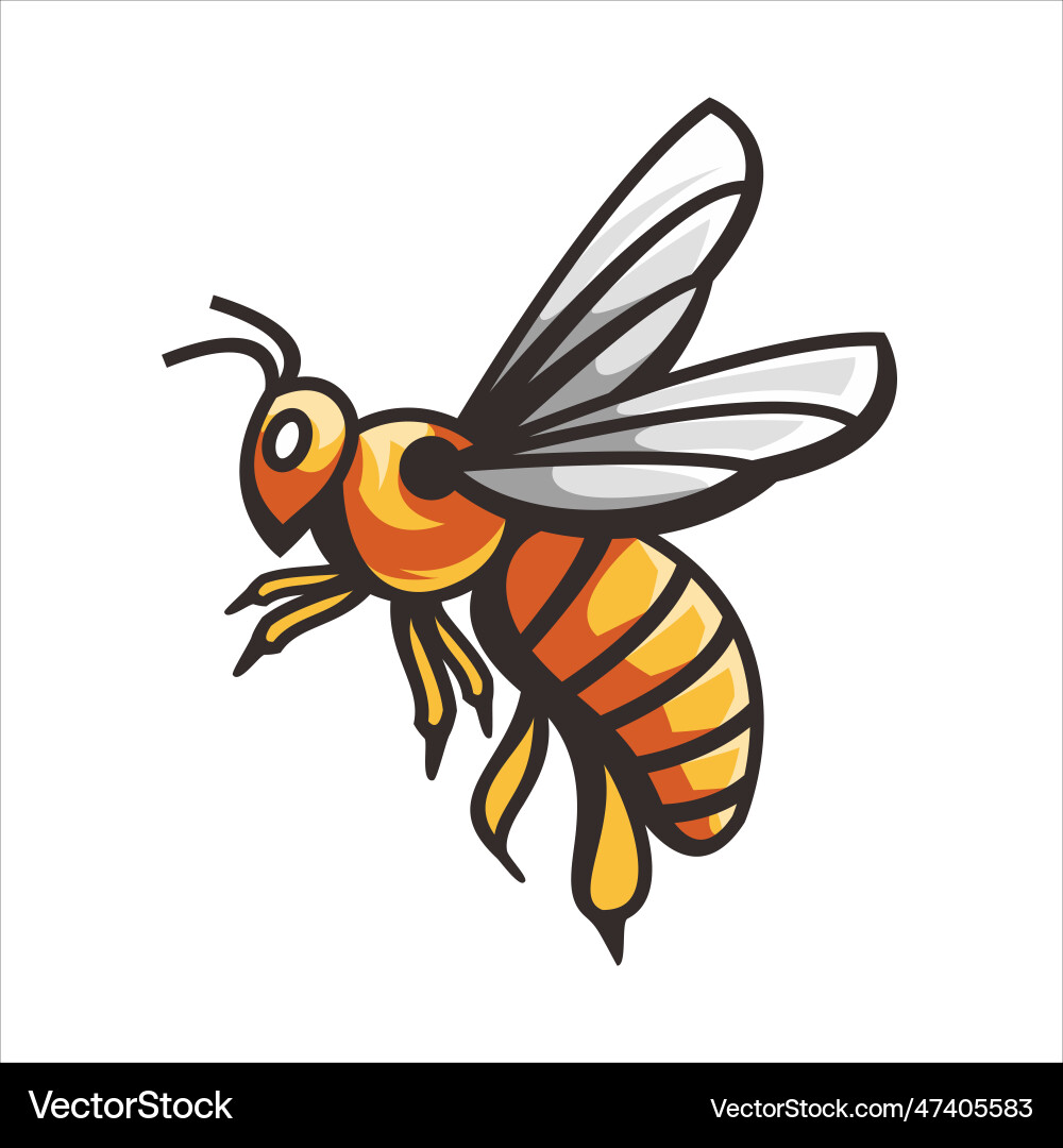 Bee design vector image